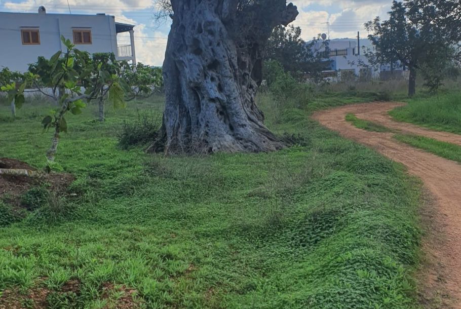 CASA CON TERRENO EN SA VORERA