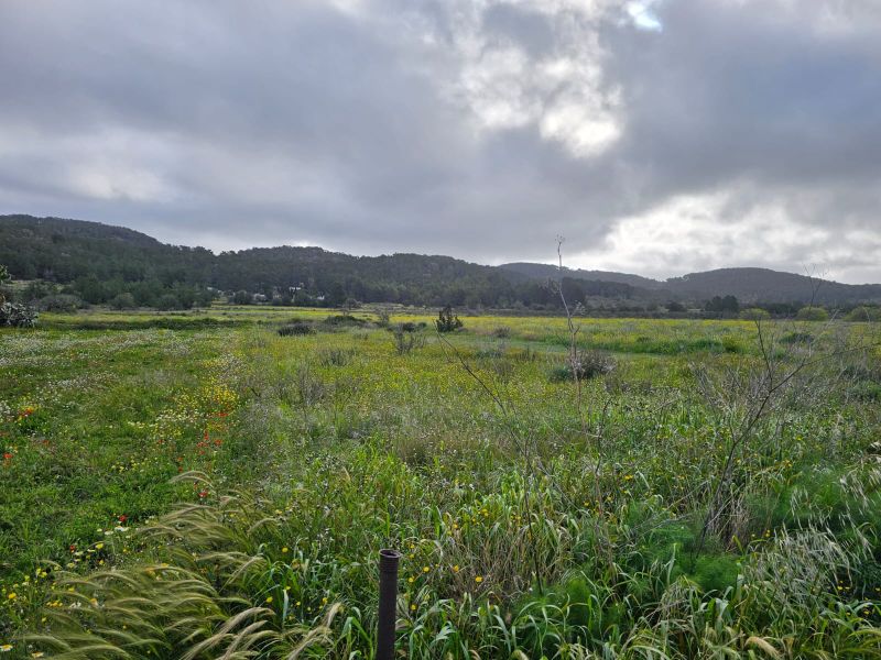 TERRENO EN ES PLA DE SAN MATEO