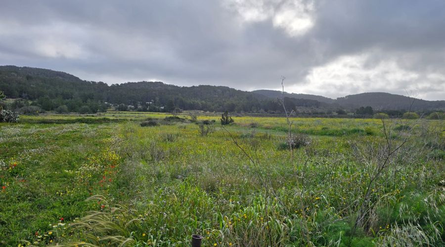 TERRENO EN ES PLA DE SAN MATEO