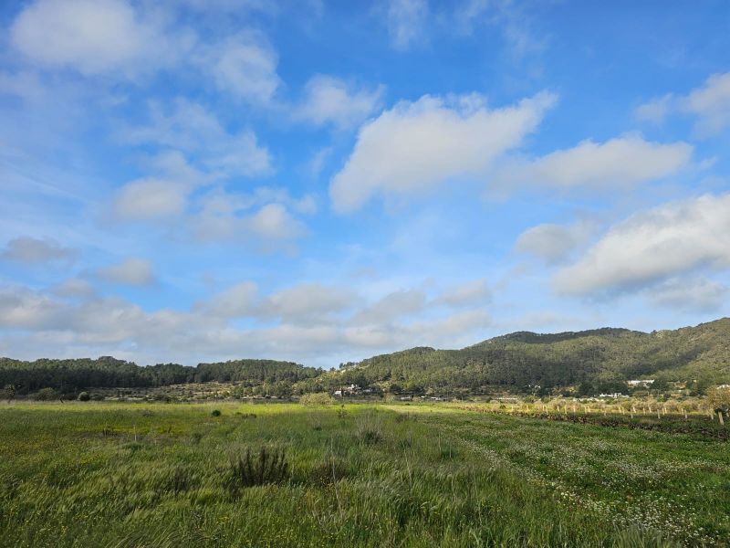 TERRENO EN ES PLA DE SAN MATEO
