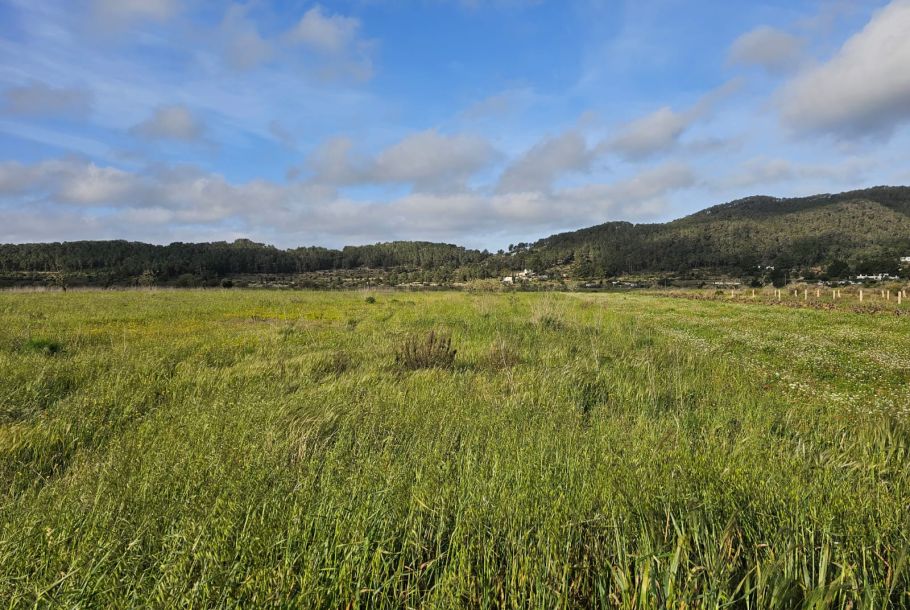 TERRENO EN ES PLA DE SAN MATEO