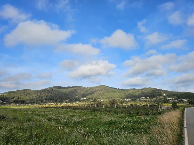 TERRENO EN ES PLA DE SAN MATEO