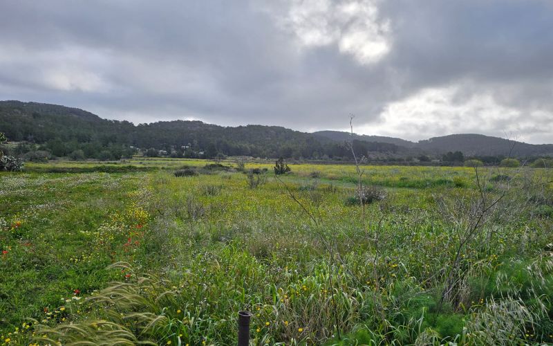 TERRENO EN ES PLA DE SAN MATEO