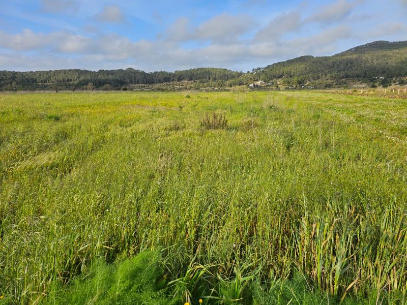 TERRENO EN ES PLA DE SAN MATEO