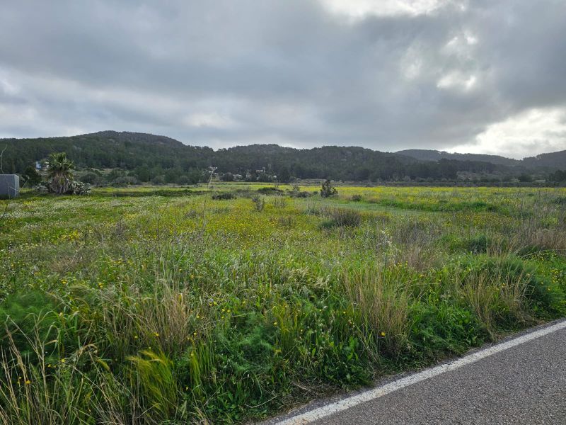 TERRENO EN ES PLA DE SAN MATEO