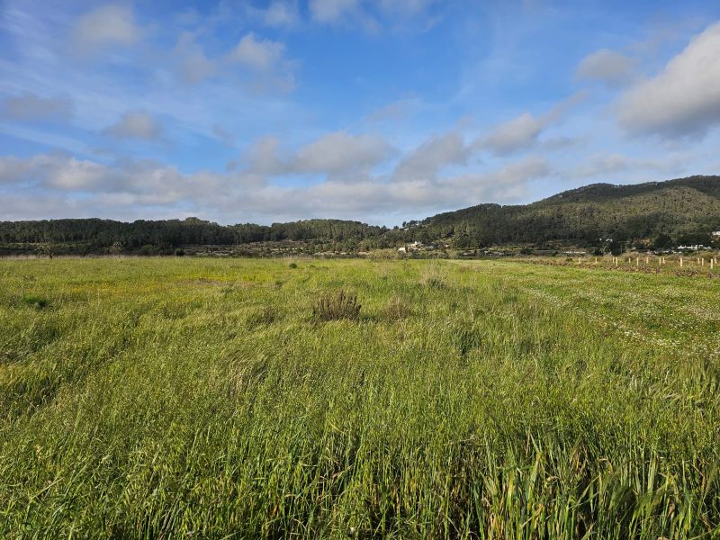 TERRENO EN ES PLA DE SAN MATEO